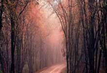 赵继伟18+10辽宁8人上双大胜深圳 总分2-0领先.