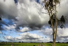 胜游亚洲娱乐官网：12战11胜将超哈登功绩：火箭官方赞3将 格林里程碑 最强阵露雏形.