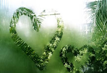 丹-伯恩：我来英格兰队不是当啦啦队的，我想要上场比赛.