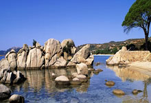 胜游亚洲娱乐官网：回声报：同年登陆英超 伊萨克比努涅斯表现好得多 利物浦想要挖角.